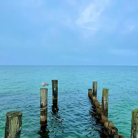 Apartament Traumpier 1 *