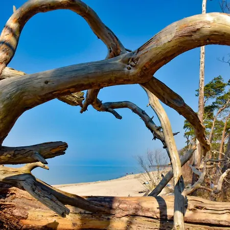 Apartament Traumpier 1